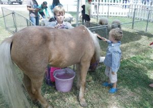 Brooks Myhre, (age 7) & Drew Myhre, (almost 3), grandsons of Eleanor and Randy Ginsberg really enjoyed brushing the petting zoo animals!